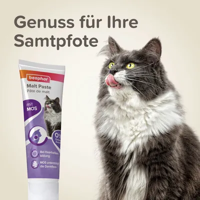 beaphar Malt Paste mit MOS, unterstützt die Darmflora und hilft bei Haarballenbildung. Genuss für Ihre Samtpfote, 0% Zuckerzusatz.