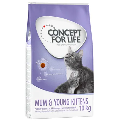 Concept for Life Mum & Young Kittens, 10 kg. Specjalna formuła: wspiera naturalną odporność, wysoka zawartość energii dla matek, równomierny wzrost. Dla kotów od 6 tygodni do 4 miesięcy.
