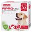 Beaphar FiproTec Vlooien- en Tekendruppels Hond 20-40 kg 4 Pipetten x 2,68 ml