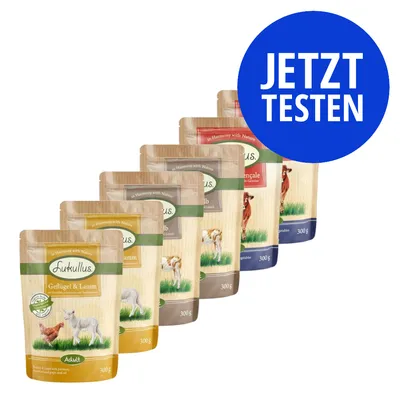 Lukullus Geflügel & Lamm, verschiedene Sorten in 300g Beuteln. Blauer Kreis mit weißem Text: JETZT TESTEN.