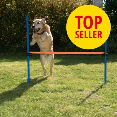 Hund springt über eine blaue und orangefarbene Hürde im Garten. Gelber Kreis mit rotem Text 'Top Seller'.