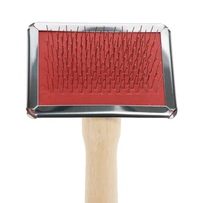 Rote Bürste mit Metallborsten und Holzgriff, geeignet für die Fellpflege.