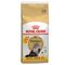 Royal Canin Persian Adult 10 + 2 kg gratis!