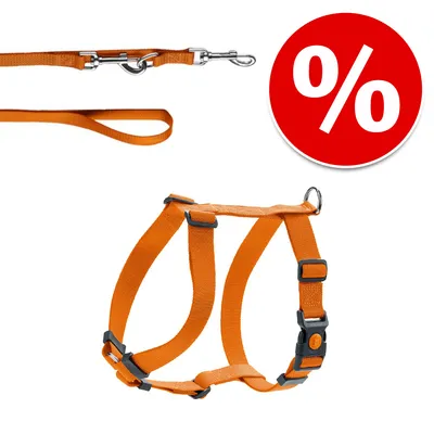 Oranje tuigje en lijn met metalen karabijnhaak. Rood kortingssymbool met procentteken.