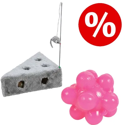 Graues Spielzeug mit Löchern und Maus an Angel, daneben pinkes Noppenball-Spielzeug. Rotes Prozentzeichen für Rabattaktion oben rechts.