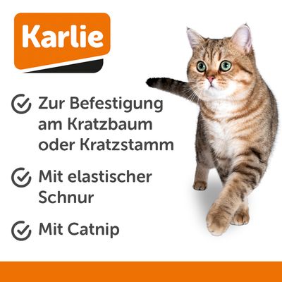 Karlie Katzenspielzeug mit zwei Varianten: Leopardenmuster-Ball mit Federn und graue Maus mit roten Details und Schwanzfedern, beide an schwarzem Griff befestigt.