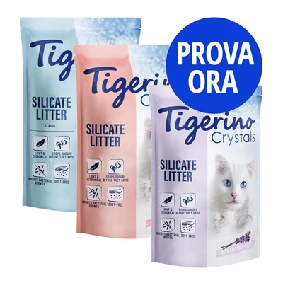 Tre confezioni di lettiera per gatti Tigerino Silicate Litter, testi visibili: light & economical, stops odours before they arise, inhibits bacterial growth, dust-free. Prova ora.