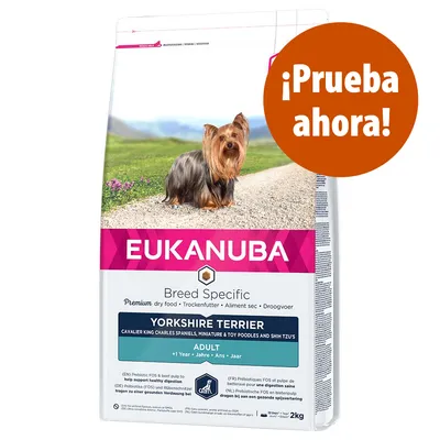 Saco de pienso Eukanuba Breed Specific para Yorkshire Terrier adulto, 2 kg. Texto visible: '¡Prueba ahora!'. Indicado para perros adultos de más de 1 año según el envase.