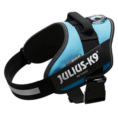 Pettorina per cani Julius-K9 IDC Power blu con fibbia in plastica, maniglia e anello metallico. Testo visibile: JULIUS-K9, IDC by JULIUS-K9, IDC POWER.