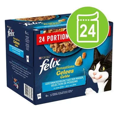 Balení Felix Sensations Gelees, 24 porcí. Výběr ryb v želé: sardinka, losos, treska, pstruh. Na obalu obrázek kočky a misky s krmivem. Velký zelený symbol s číslem 24.