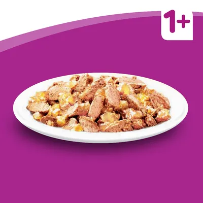 Falatkákat tartalmazó szósz fehér tányéron, 1 évesnél idősebb macskáknak alkalmas.