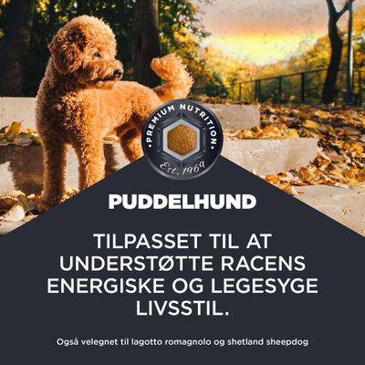 Premium Ernæring Est. 1969. Tilpasset til at støtte energiske og legesyge livsstile. Også velegnet til Lagotto Romagnolo og Shetland Sheepdog.