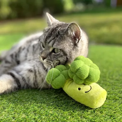 Grey cat lying on green grass playing with a green broccoli-shaped plush toy with a smiling face.