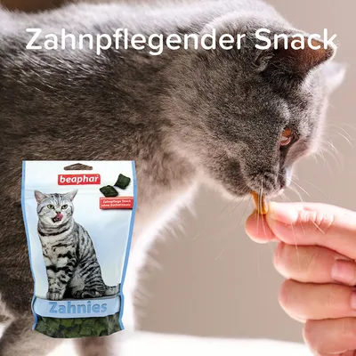 Beaphar Zahnies лакомство для ухода за зубами без добавления сахара. Кошка ест лакомство с руки. Упаковка с изображением серой кошки и текстом "Zahnpflegender Snack".