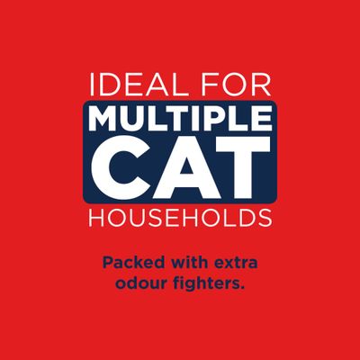 Ever Clean® Multiple Cat Clumping Cat Litter