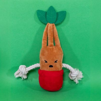 Pluche speelgoed in de vorm van een bruine wortel met groene bladeren, rood onderste deel en twee touwarmen. Geschikt voor huisdieren om mee te spelen en op te kauwen.