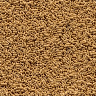 Crocchette secche di forma cilindrica piccola, vista ravvicinata del prodotto sfuso senza confezione o marchio visibile.