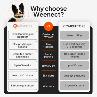 Weenect XT GPS-tracker dla psów, opakowanie produktu z widocznym zdjęciem psa i obrożą z trackerem.