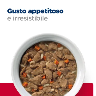 Gusto appetitoso e irresistibile. Ciotola con bocconcini di carne, carote e riso in salsa.