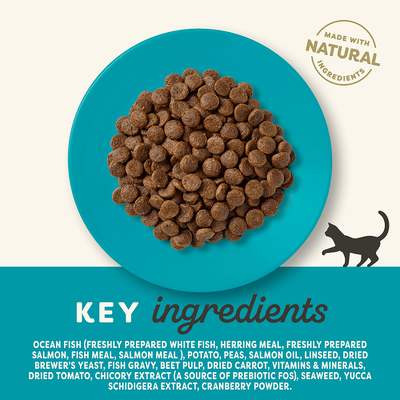 Sastojci: ocean fish, bijela riba, haringa, losos, riblje brašno, krumpir, grašak, lososovo ulje, lan, suhi kvasac, cikla, mrkva, rajčica, cikorija, alge, ekstrakt yucca, brusnica.