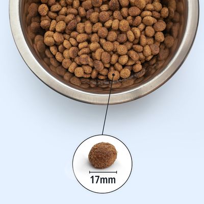 Crocchette in ciotola di acciaio inox, vista dettagliata di una crocchetta con diametro di 17 mm
