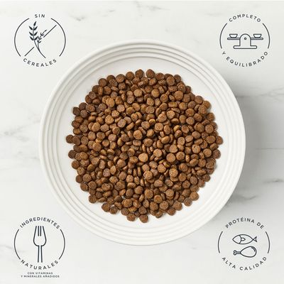 Encore Adult Complete comida para gatos, 800g, con pollo, sin cereales, 80% pollo, 20% extractos naturales, 100% ingredientes naturales.