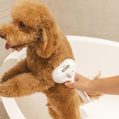 Hund wird mit einer weissen Fellpflegebürste behandelt. Bürste zeigt Marke 'Tesora' und hat einen ergonomischen Griff.