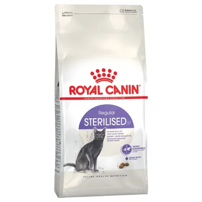 Confezione di Royal Canin Regular Sterilised 37 per gatti adulti sterilizzati, con immagine di un gatto grigio e testo visibile: weight management, urinary health, feline health nutrition.