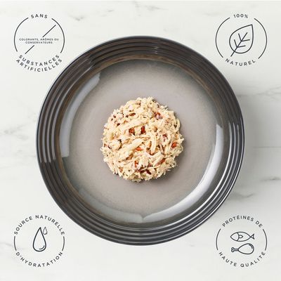 Sachet 70 g Encore In Broth, 100% natural ingredients, suprême de poulet avec riz complet. Image d’un chat devant l’emballage. Texte en anglais, allemand, français et néerlandais.