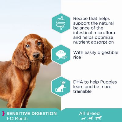 Text på engelska: Sensitive Digestion 1–12 Month, All Breed. Recipe that helps support the natural balance of the intestinal microflora and helps optimize nutrient absorption. With easily digestible rice. DHA to help Puppies learn and be more trainable.