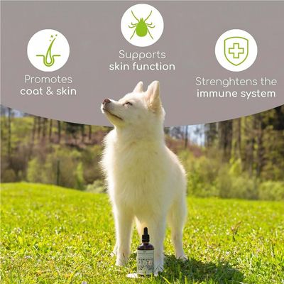 Wolfsbacher Natur Organic Black Seed Oil for Dogs