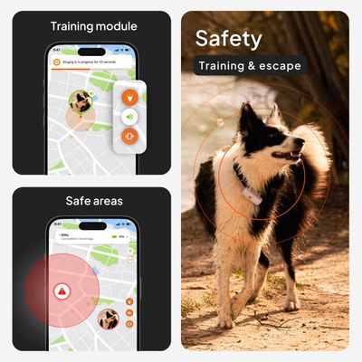 Weenect Pet GPS Tracker XS dla psów