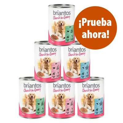Latas de comida para perros Briantos Chunks in Gravy, 415 g. Etiquetas visibles: Adult, Lamm & Karotte, Rind & Kartoffel, Huhn & Karotte. Círculo naranja con texto: ¡Prueba ahora!