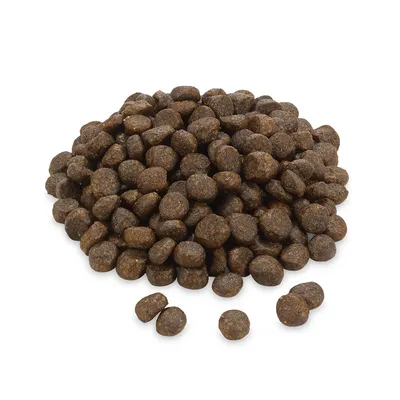 Crocchette di cibo secco marroni di varie dimensioni, disposte in modo sparso.