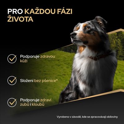 bosch HPC Soft Senior Kozí maso & brambory, 2,5 kg

Poloměkké kompletní krmivo pro starší psy všech plemen, s čerstvým kozím masem jako jediným zdrojem živočišných bílkovin, bez obilovin, s bramborami, vhodné pro citlivé psy.