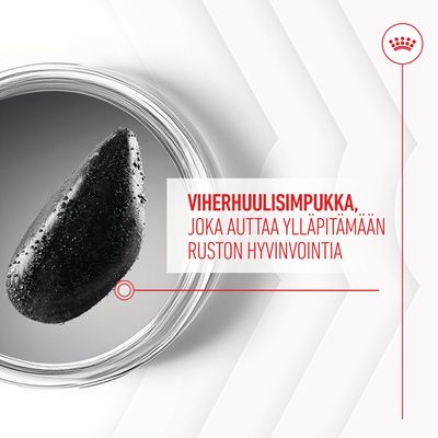 Viherhuulisimpukka, joka auttaa ylläpitämään ruston hyvinvointia. Teksti punaisella ja musta simpukka lasiastiassa.