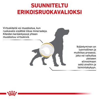 SUUNNITELTU ERIKOISRUOKAVALIOKSI. Virtsakiteitä voi muodostua, kun ruokavalio sisältää liikaa mineraaleja. Ikääntyminen voi vaikuttaa elinvoimaan, aivoihin ja toimintakykyyn.
