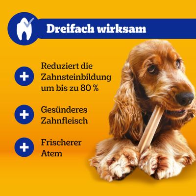 Dreifach wirksam: Reduziert die Zahnsteinbildung um bis zu 80 %, gesünderes Zahnfleisch, frischerer Atem.