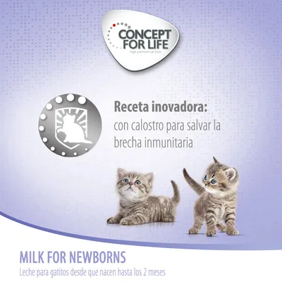 Concept for Life. Receta innovadora: con calostro para salvar la brecha inmunitaria. Milk for Newborns. Leche para gatitos desde que nacen hasta los 2 meses. Imagen de dos gatitos.