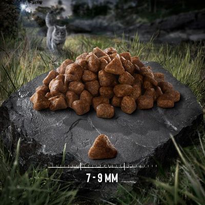 Wild Freedom Adult "Flaming Horizon" kylling - kornfri