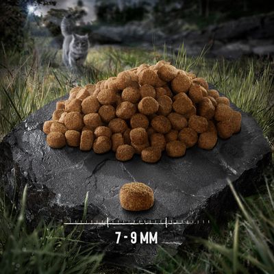 Granulki karmy na kamieniu, widoczny rozmiar 7–9 mm. W tle kot na trawie.