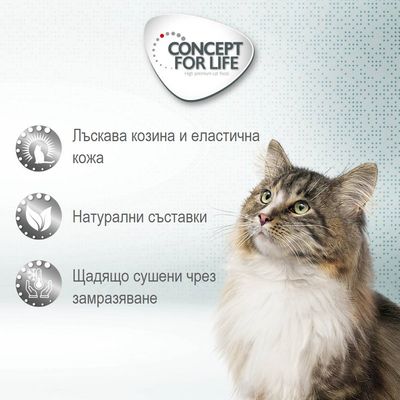 Concept for Life. Лъскава козина и еластична кожа, натурални съставки, щадящо сушени чрез замразяване. Котка с дълга козина вдясно.