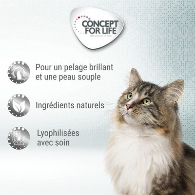 Concept for Life. Pour un pelage brillant et une peau souple. Ingrédients naturels. Lyophilisées avec soin. Chat à poils longs visible à droite.