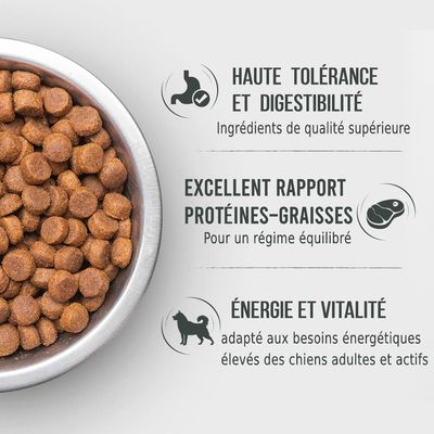 Haute tolérance et digestibilité, ingrédients de qualité supérieure. Excellent rapport protéines-graisses pour un régime équilibré. Énergie et vitalité adapté aux chiens adultes actifs.