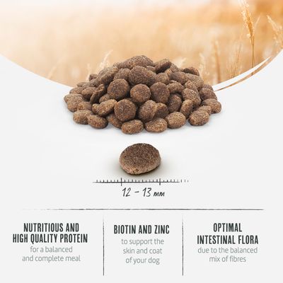 Dry food with 12-13 mm size. Contains high-quality protein for balanced nutrition, biotin and zinc for skin and coat, and fibre for optimal gut flora.