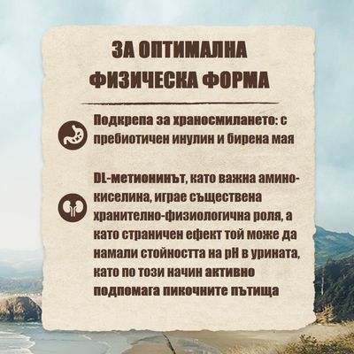 Purizon Original Sterilised Adult с риба, без зърно