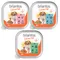 Briantos Delicious Paté 27 x 300 g pour chien – lot mixte : poisson, agneau, bœuf