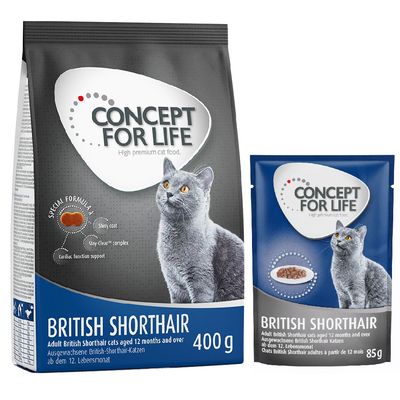 400 g Concept for Life Trockenfutter + 12 x 85 g Nassfutter in Soße British Shorthair Adult