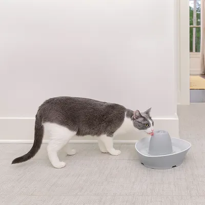 Grey and white cat drinking from a grey water fountain with running water on light carpet.