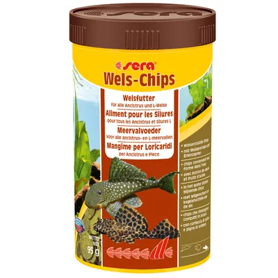 Корм для сомов Sera Wels-Chips, банка 95 г. Видны изображения аквариумных рыб и текст на нескольких языках: Welsfutter, Aliment pour les Silures, Meervalvoeder, Mangime per Loricaridi.